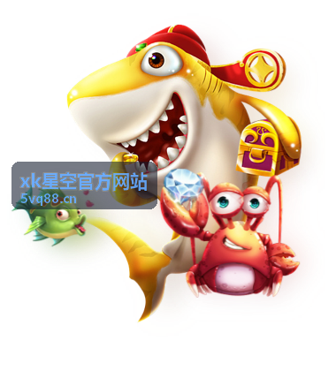 xk星空官方网站功能指南操作界面